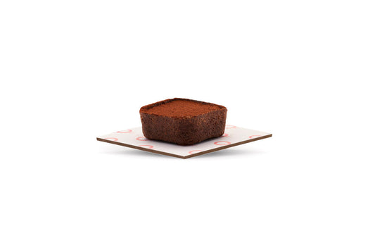 Chocolate Mini Tart
