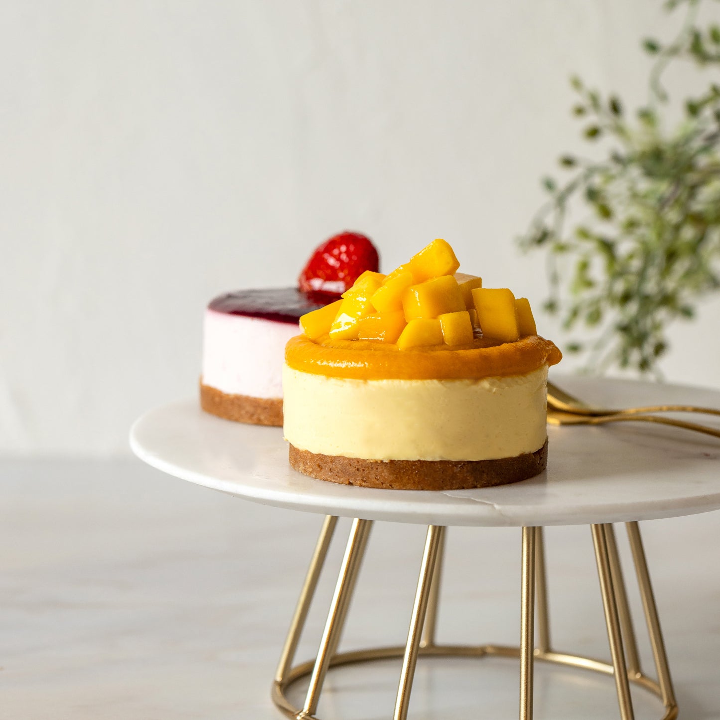 Mango Cheescake